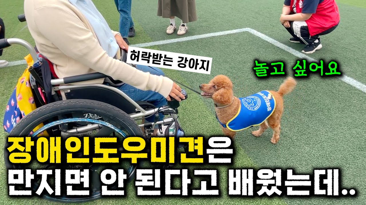 스토리