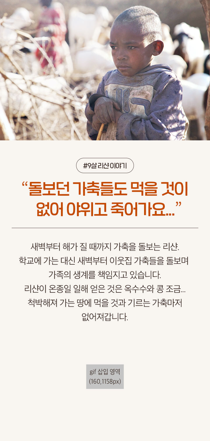 돌보던 가축들도 먹을 것이 없어 야위고 죽어가요…