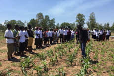 밀알복지재단 케냐 키수무 : 행복이 자라는 공동농장